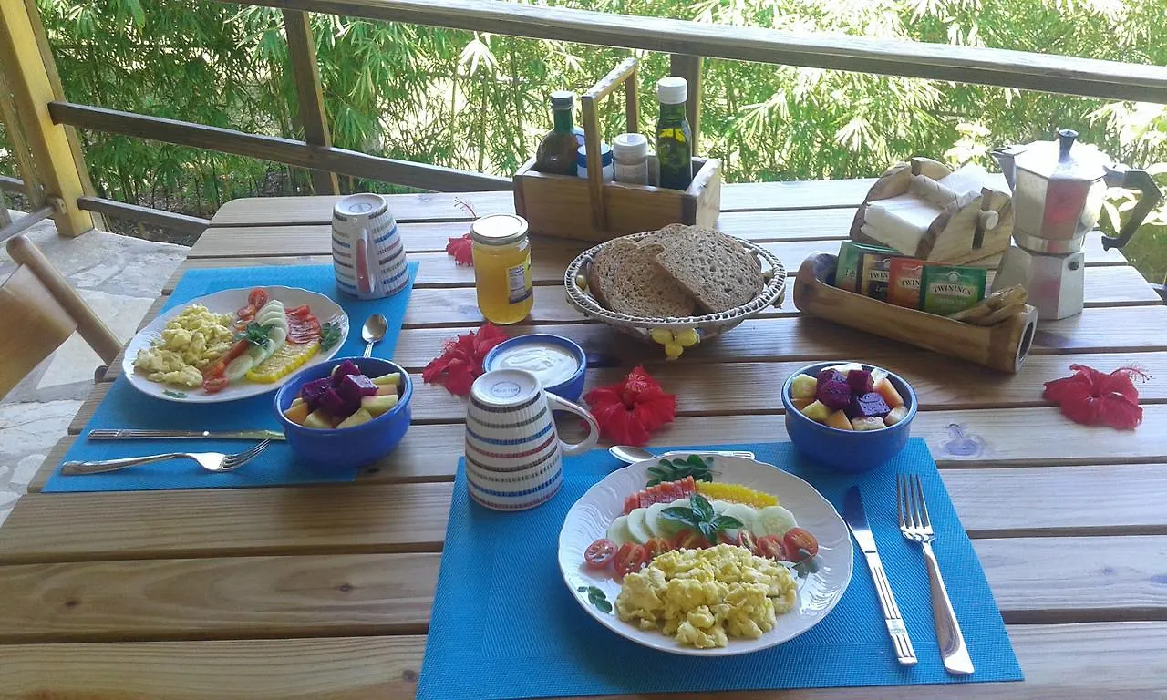B&B El Mirador Al Mar Sosua Dominican Republic