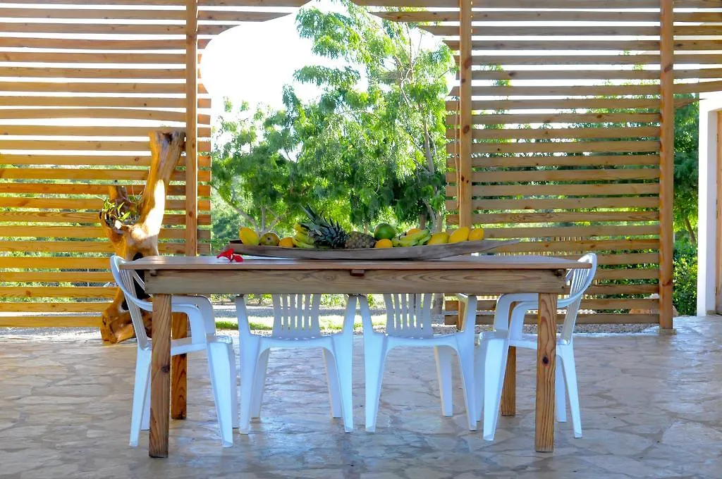 ベッド・アンド・ブレックファスト B&B El Mirador Al Mar Sosúa