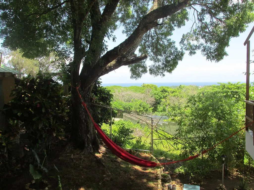 ベッド・アンド・ブレックファスト B&B El Mirador Al Mar Sosúa